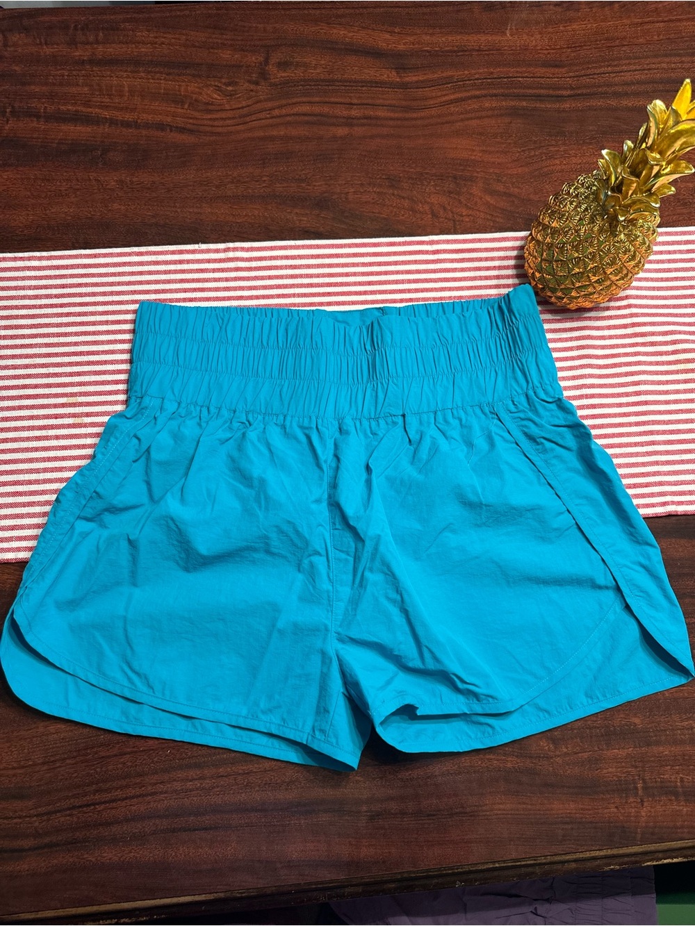 Zenana Windbreaker Smocked Waistband Running Shorts with Built In Panty - NWOT